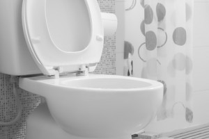 Toilet Repairs and Installation in Maryland by Griffith Plumbing