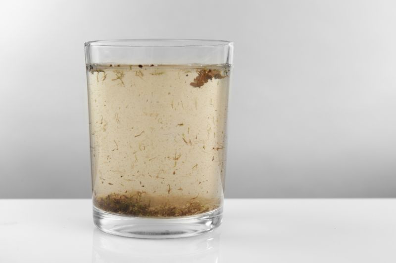 Sediment & Dirt In Water