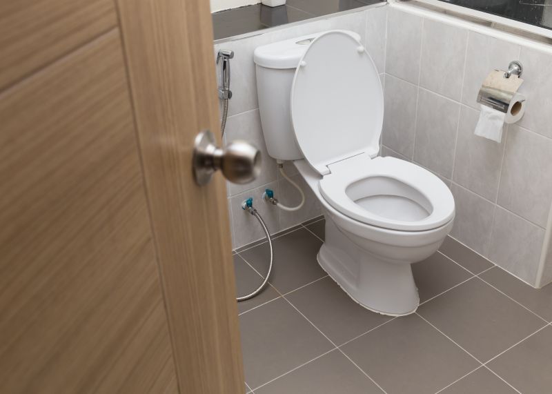 Toilet Making Gurgling Sounds
