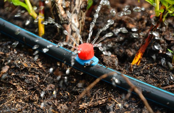 drip irrigation systems