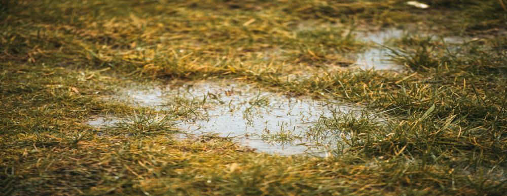 standing water