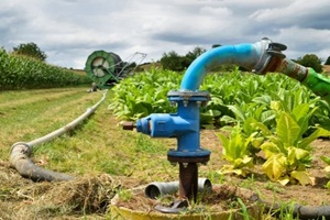 agricultural irrigation system with a well of water, for the cultivation of corn and beet during the summer