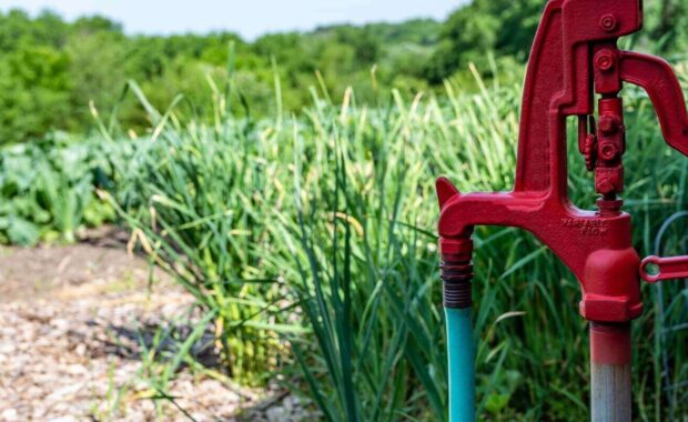old style mechanical self draining hydrant in blurred rural garden setting