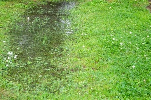 flooded garden gate area after rain