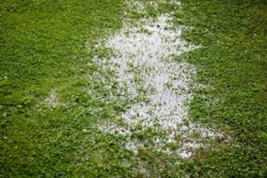 flooded lawn after rainfall