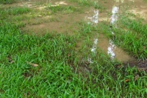 muddy water in a backyard