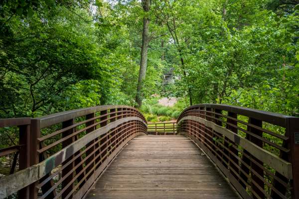 Walking Bridge in Forest Park