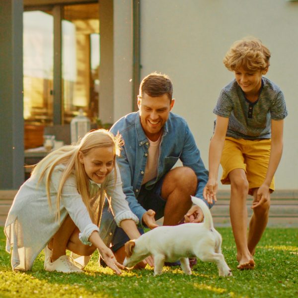 young family playing with their dog in the backyard of their maryland home