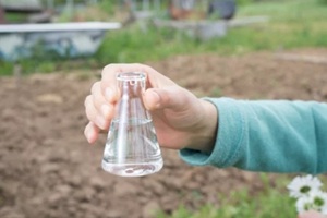 hand with a test tube and plant