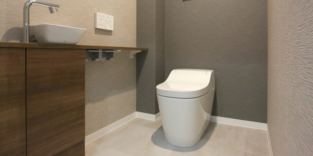 modern toilet setup