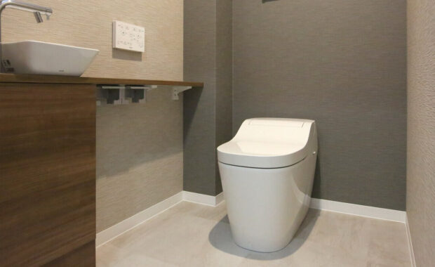modern toilet setup
