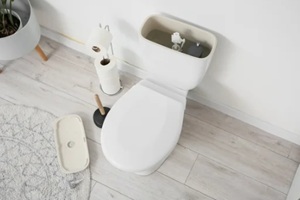 toilet bowl with removed tank lid in light restroom
